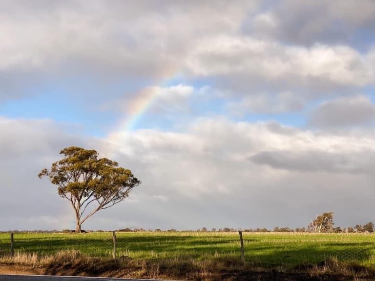 Rainbows